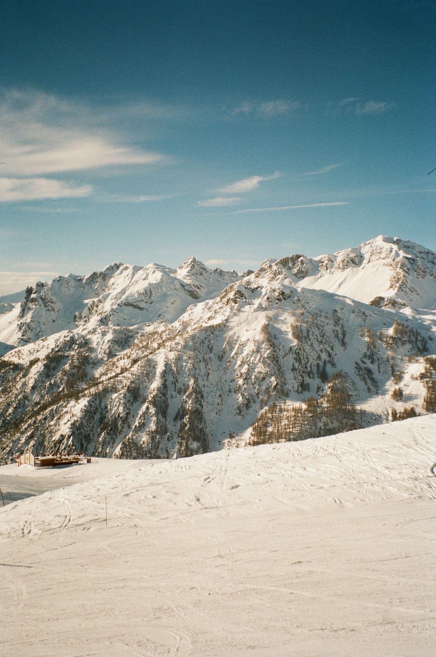 How to Prepare for Your Next Alpine Race