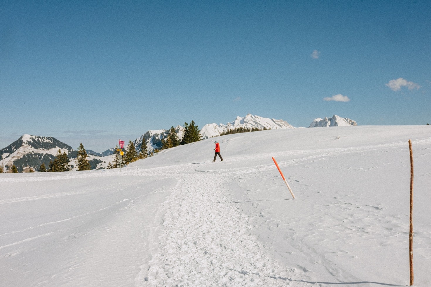 Streamlining Your Alpine Racing Experience